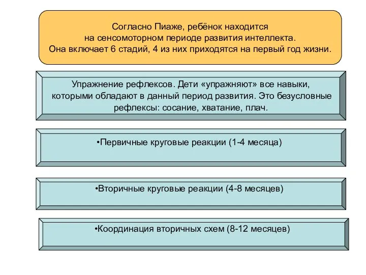 Согласно Пиаже, ребёнок находится на сенсомоторном периоде развития интеллекта. Она включает