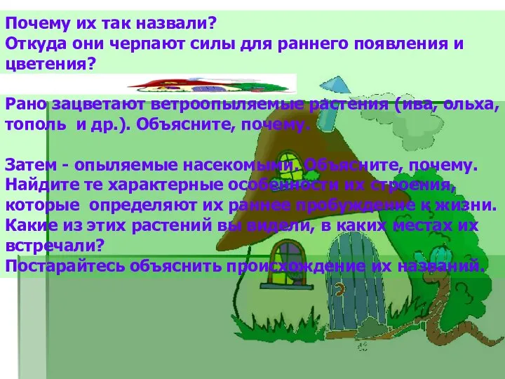 Почему их так назвали? Откуда они черпают силы для раннего появления