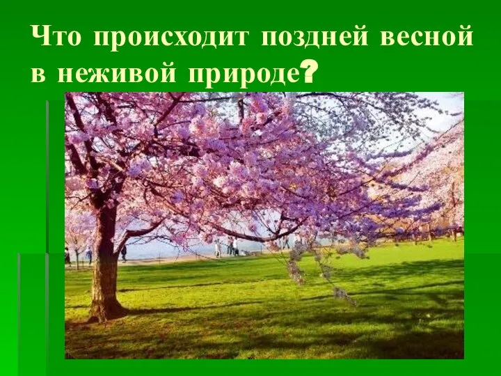 Что происходит поздней весной в неживой природе?