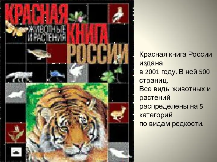 Красная книга России издана в 2001 году. В ней 500 страниц.