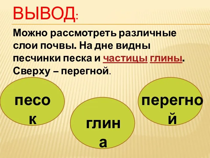 Вывод: Можно рассмотреть различные слои почвы. На дне видны песчинки песка