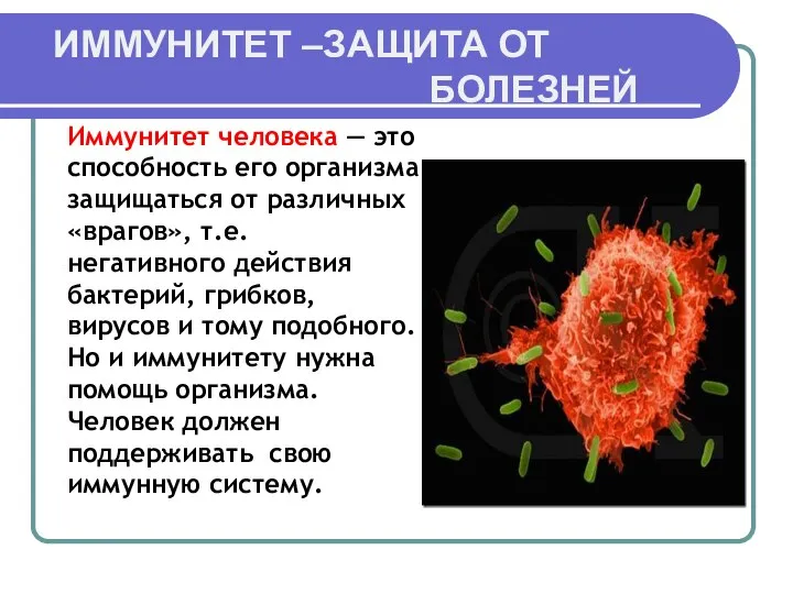 ИММУНИТЕТ –ЗАЩИТА ОТ БОЛЕЗНЕЙ Иммунитет человека — это способность его организма