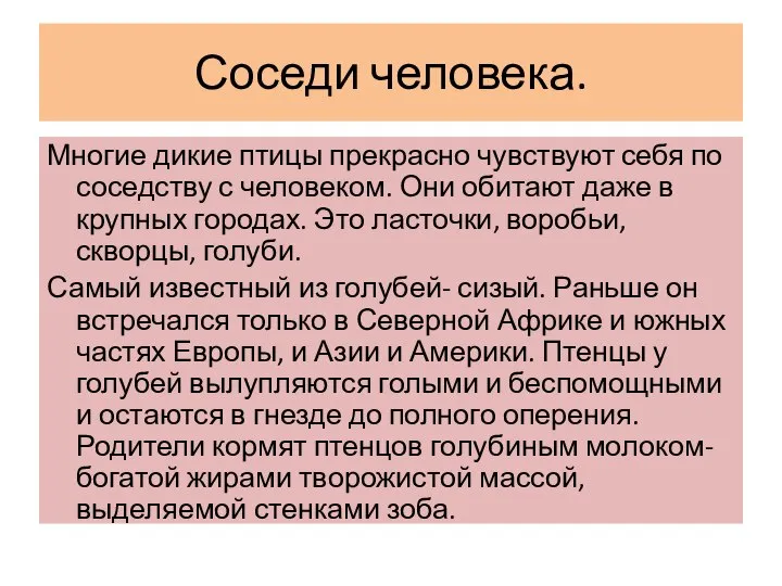 Соседи человека. Многие дикие птицы прекрасно чувствуют себя по соседству с