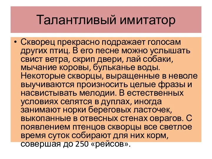 Талантливый имитатор Скворец прекрасно подражает голосам других птиц. В его песне