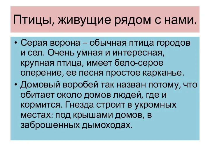 Птицы, живущие рядом с нами. Серая ворона – обычная птица городов