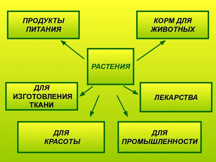 ПРОДУКТЫ ПИТАНИЯ ДЛЯ ПРОМЫШЛЕННОСТИ КОРМ ДЛЯ ЖИВОТНЫХ ЛЕКАРСТВА РАСТЕНИЯ ДЛЯ ИЗГОТОВЛЕНИЯ ТКАНИ ДЛЯ КРАСОТЫ