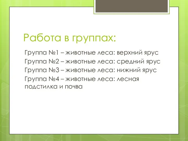 Работа в группах: Группа №1 – животные леса: верхний ярус Группа