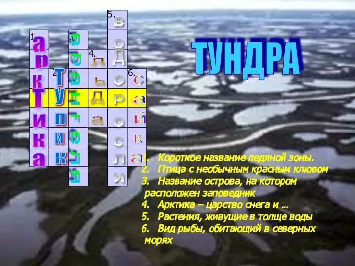 Короткое название ледяной зоны. Птица с необычным красным клювом Название острова,