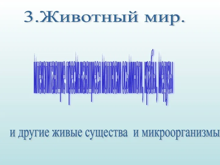 3.Животный мир. млекопитающие пресмыкающиеся моллюски осьминоги, крабы, медузы и другие живые существа и микроорганизмы