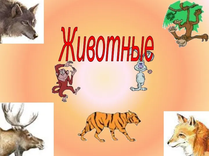 Животные