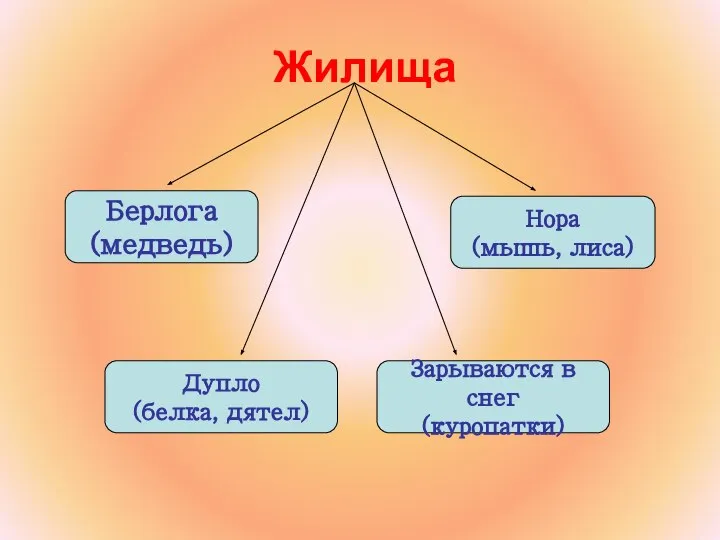 Жилища Берлога (медведь) Дупло (белка, дятел) Зарываются в снег (куропатки) Нора (мышь, лиса)