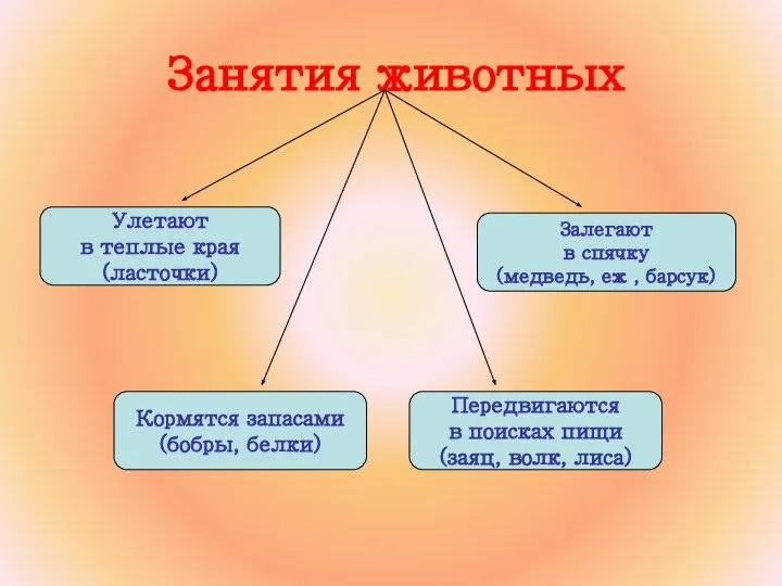 Занятия животных Улетают в теплые края (ласточки) Кормятся запасами (бобры, белки)