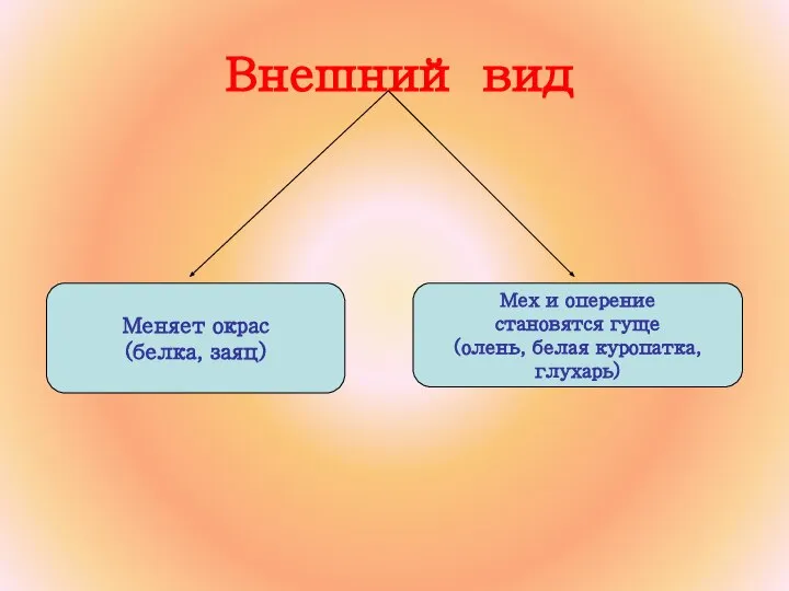 Внешний вид Меняет окрас (белка, заяц) Мех и оперение становятся гуще (олень, белая куропатка, глухарь)