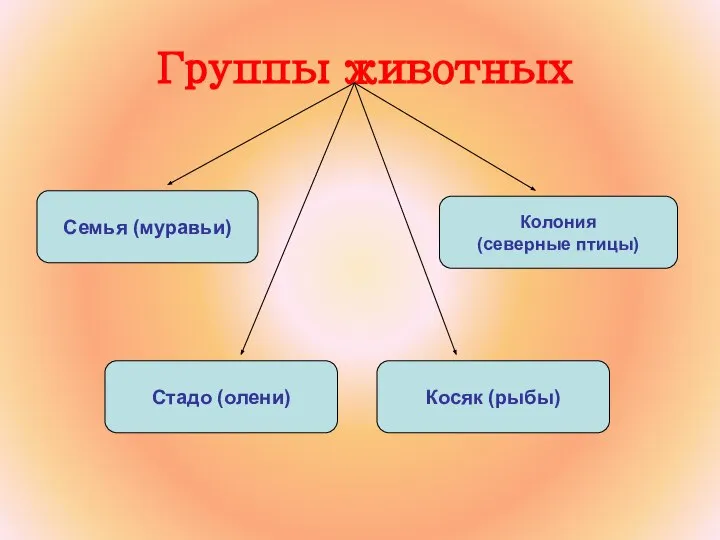 Группы животных Семья (муравьи) Стадо (олени) Косяк (рыбы) Колония (северные птицы)