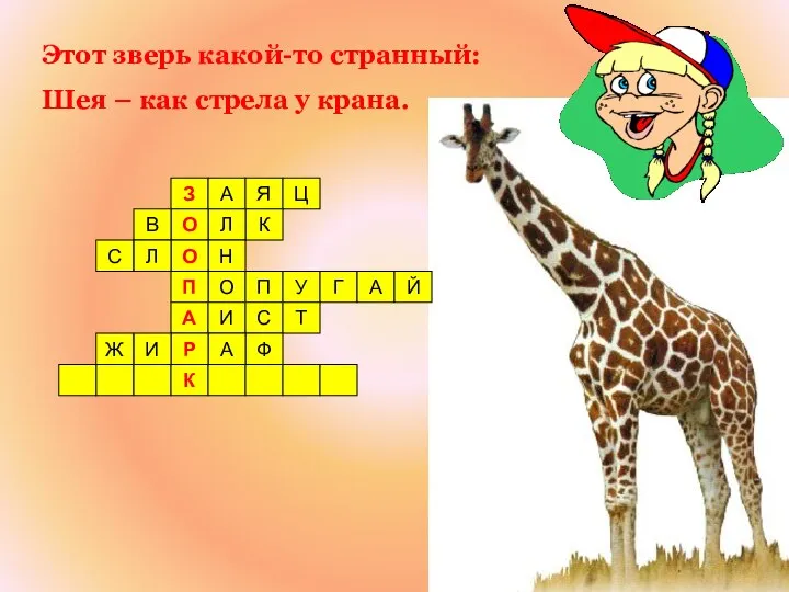 З А Я Ц К Л О В Н О П