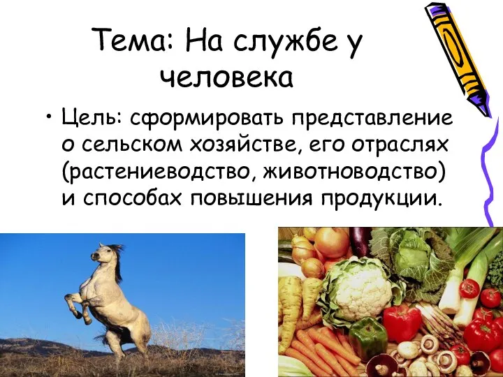 Тема: На службе у человека Цель: сформировать представление о сельском хозяйстве,