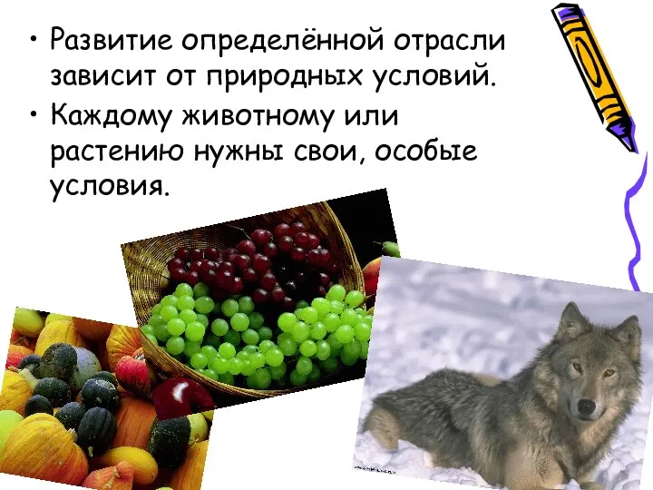 Развитие определённой отрасли зависит от природных условий. Каждому животному или растению нужны свои, особые условия.