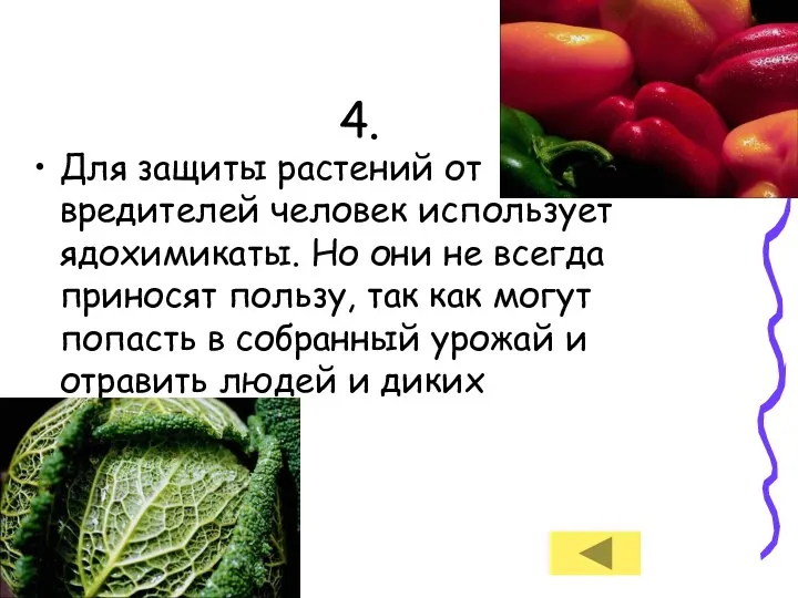 4. Для защиты растений от вредителей человек использует ядохимикаты. Но они