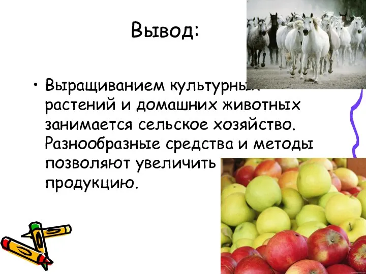 Вывод: Выращиванием культурных растений и домашних животных занимается сельское хозяйство. Разнообразные