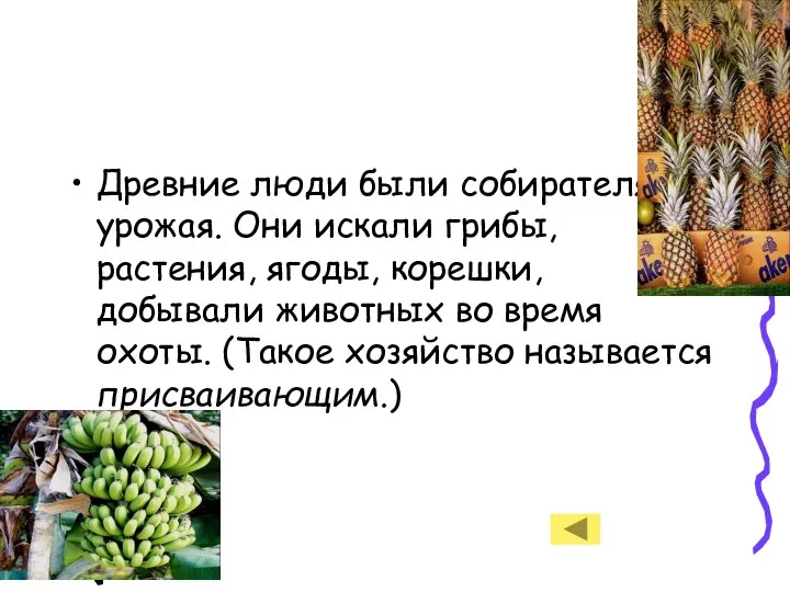 Древние люди были собирателями урожая. Они искали грибы, растения, ягоды, корешки,