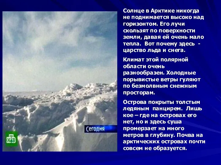 Солнце в Арктике никогда не поднимается высоко над горизонтом. Его лучи