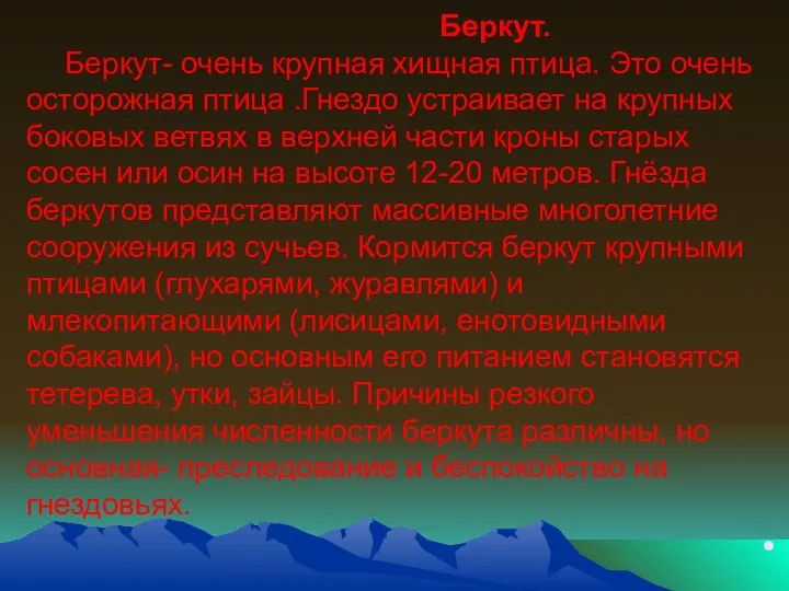 Беркут. Беркут- очень крупная хищная птица. Это очень осторожная птица .Гнездо