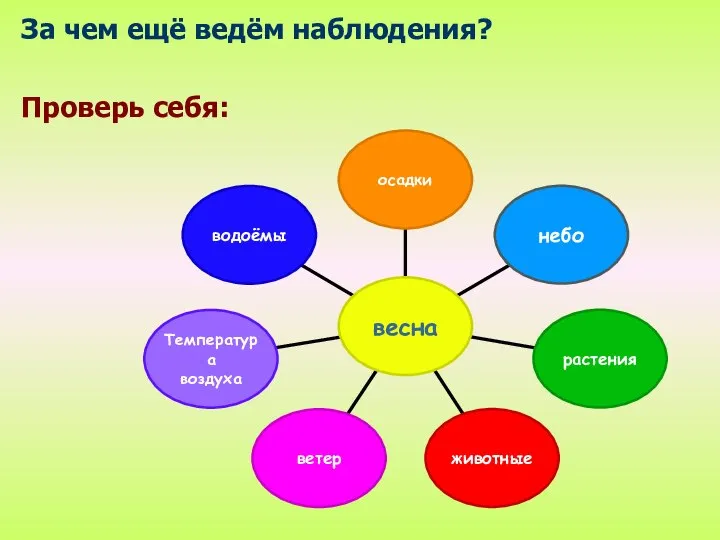 За чем ещё ведём наблюдения? Проверь себя: