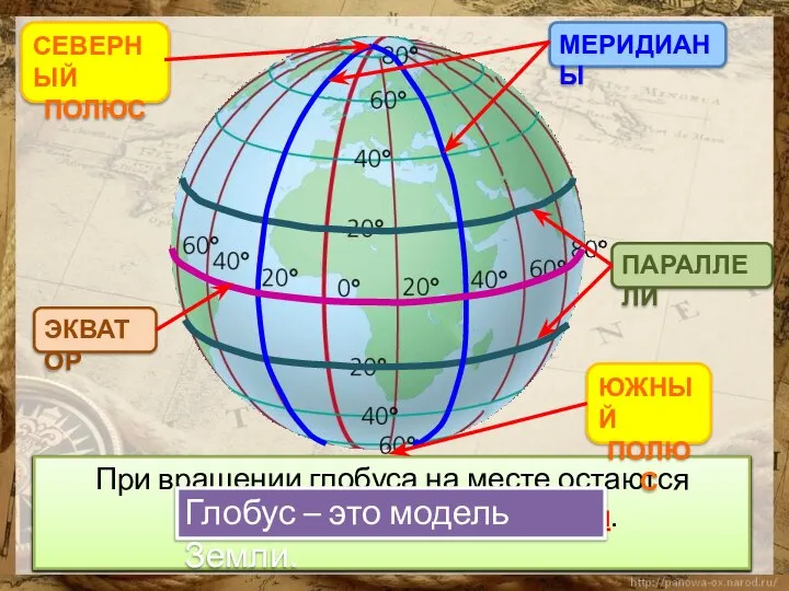 Линии, расположенные горизонтально, называются параллелями. Эти линии разные по длине. У