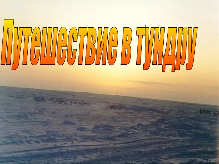 Путешествие в тундру