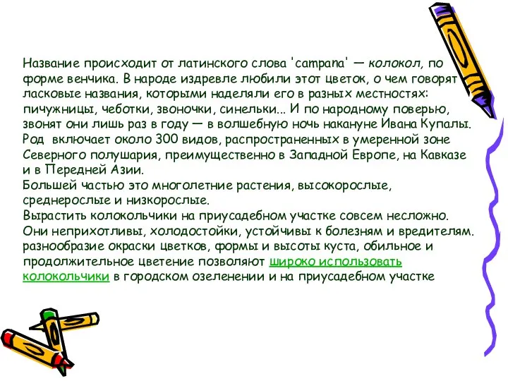 Название происходит от латинского слова 'campana' — колокол, по форме венчика.