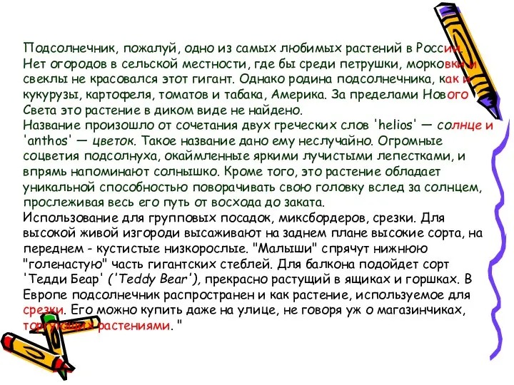 Подсолнечник, пожалуй, одно из самых любимых растений в России. Нет огородов