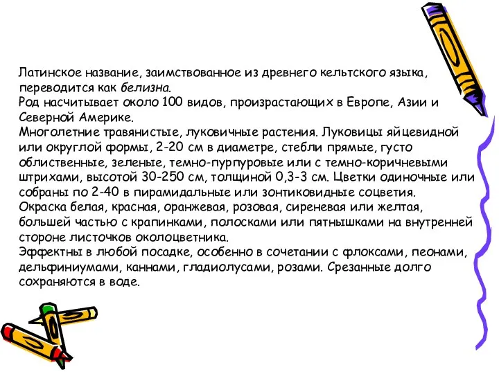 Латинское название, заимствованное из древнего кельтского языка, переводится как белизна. Род