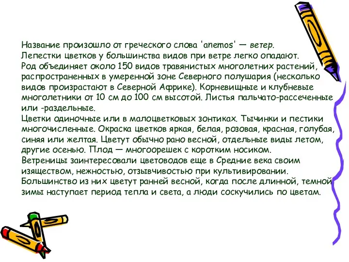 Название произошло от греческого слова 'anemos' — ветер. Лепестки цветков у