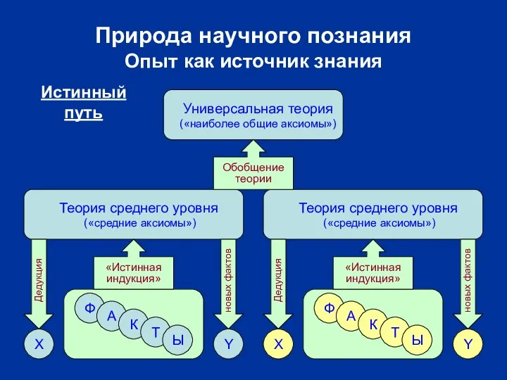 Природа научного познания Опыт как источник знания Универсальная теория («наиболее общие