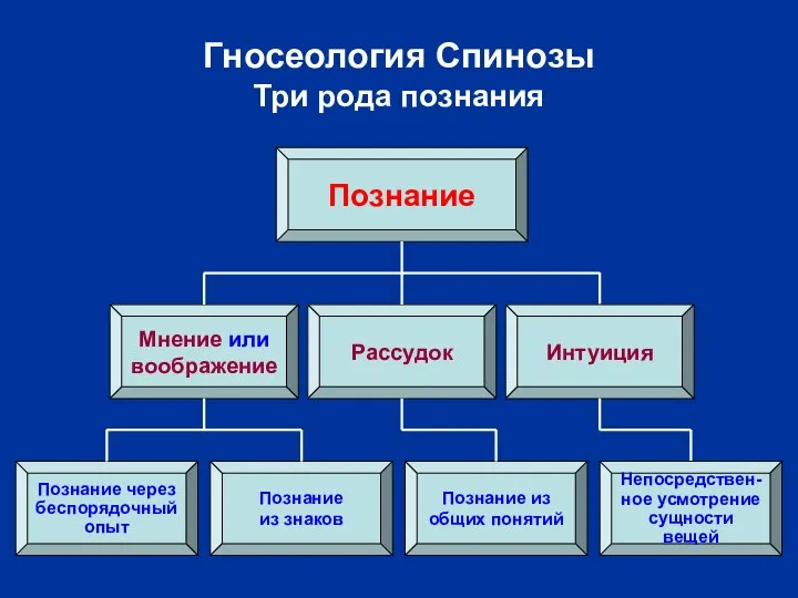 Гносеология Спинозы Три рода познания Познание Рассудок Мнение или воображение Познание