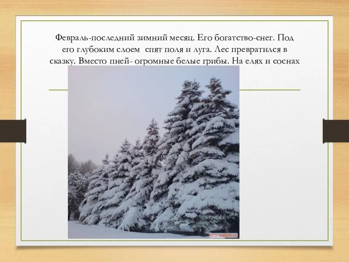 Февраль-последний зимний месяц. Его богатство-снег. Под его глубоким слоем спят поля