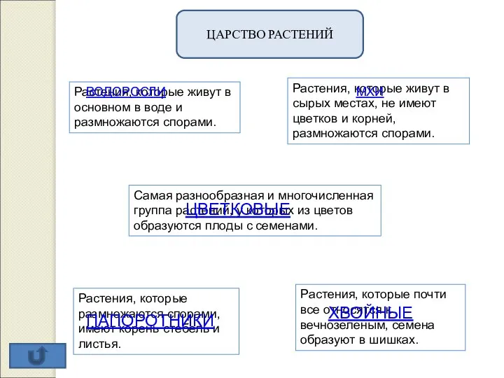 ЦАРСТВО РАСТЕНИЙ Растения, которые живут в основном в воде и размножаются