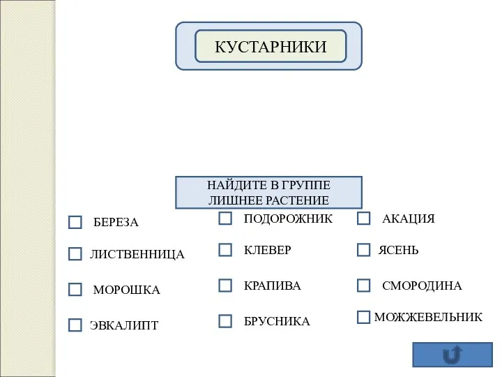 ГРУППЫ РАСТЕНИЙ ДЕРЕВЬЯ ТРАВЫ КУСТАРНИКИ НАЙДИТЕ В ГРУППЕ ЛИШНЕЕ РАСТЕНИЕ БЕРЕЗА