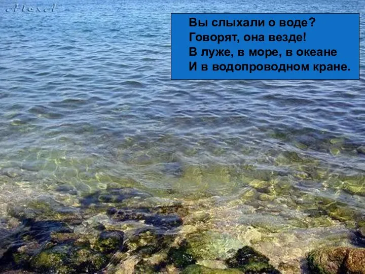 Вы слыхали о воде? Говорят, она везде! В луже, в море,