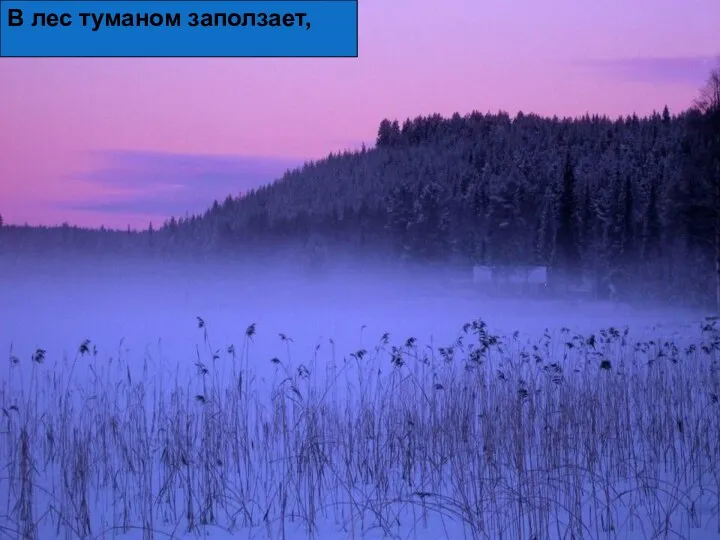 В лес туманом заползает,