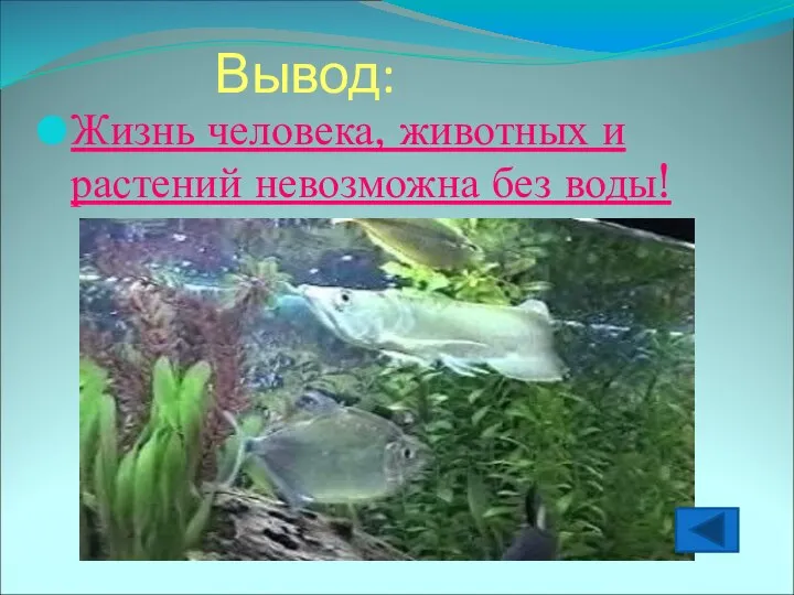 Вывод: Жизнь человека, животных и растений невозможна без воды!