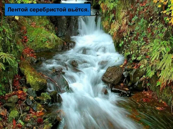 Лентой серебристой вьётся.