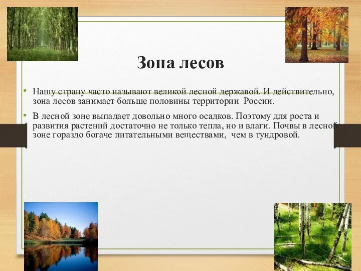 Зона лесов Нашу страну часто называют великой лесной державой. И действительно,