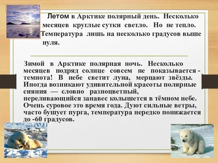 Летом в Арктике полярный день. Несколько месяцев круглые сутки светло. Но