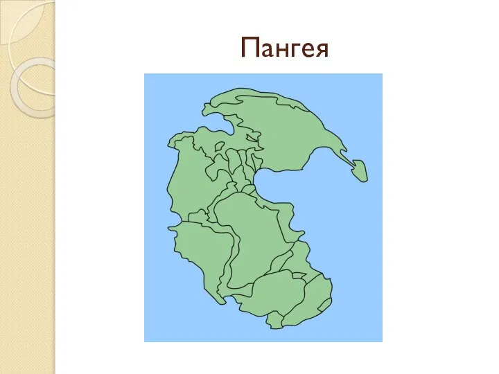 Пангея