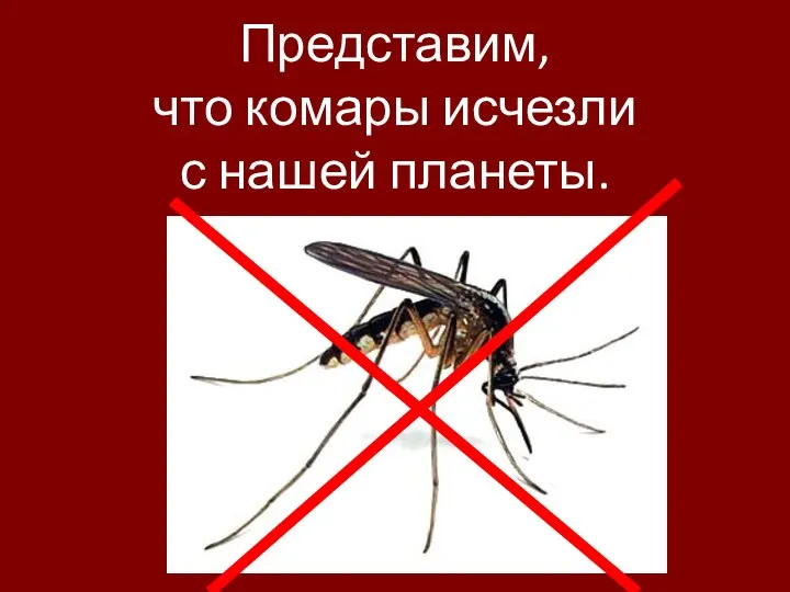 Представим, что комары исчезли с нашей планеты.