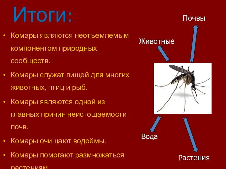 Итоги: Комары являются неотъемлемым компонентом природных сообществ. Комары служат пищей для