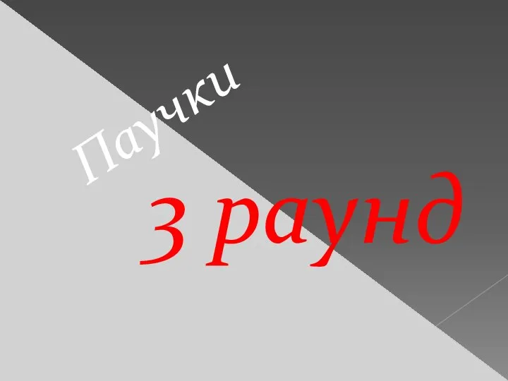 3 раунд Паучки