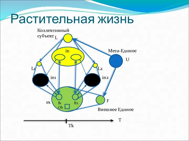 Растительная жизнь Мета-Единое Внешнее Единое in1 in2 B1 B2 Ob L1