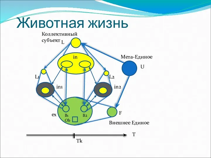 Животная жизнь Мета-Единое Внешнее Единое in1 in2 B1 B2 Ob L1